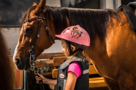 Family short stay with horse riding school